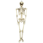 Life Size Skeleton Hanging Halloween Decoration - 5'